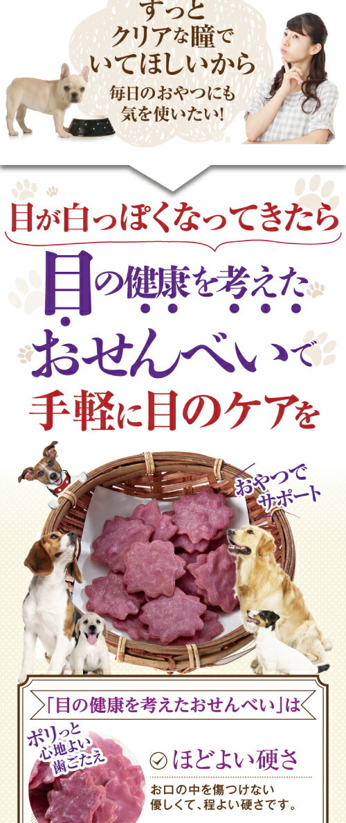 犬 涙焼けのケア おやつ 目に良いせんべい 5袋 無添加 国産 通常便 Meniyoisenbei 犬のご飯とケーキのドッグダイナー 通販 Yahoo ショッピング