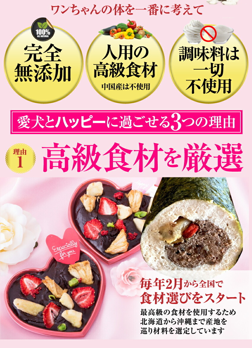 犬用 恵方巻き・バレンタイン チョコ セット(無添加・天然の手作りご飯・ケーキ)