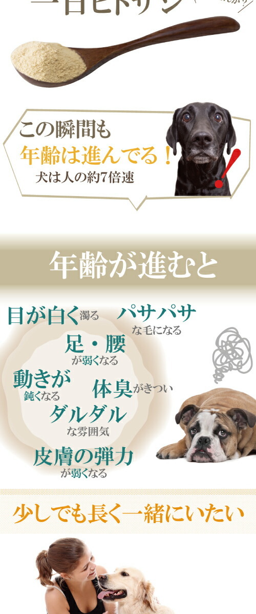 犬 老化 筋力 体力 サプリメント みらいのヒトサジ 無添加 高齢犬 シニア 送料無料 犬のご飯とケーキのドッグダイナー 通販 Yahoo ショッピング 犬 老化 筋力 体力 サプリメント みらいのヒトサジ 無添加 高齢犬 シニア 送料無料 犬のご飯とケーキのドッグダイナー 通販 Yahoo ショッピング