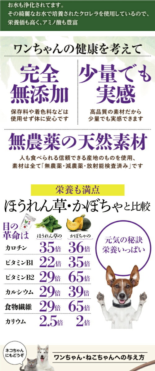 バージョンアップしました 犬 猫用 目のケア サプリ 食べる 目の 革命 30g 無添加 ブルーベリー 配合 粉末 メール便 送料無料 sale 犬のご飯とケーキのドッグダイナー 通販 Yahoo ショッピング