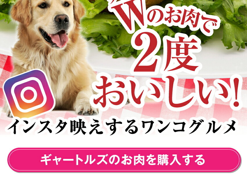 犬の無添加・手作りごはん
