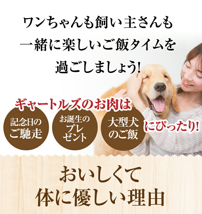 犬の無添加・手作りごはん