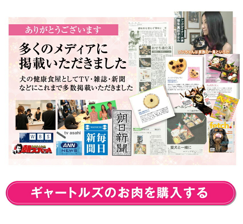犬の無添加・手作りごはん
