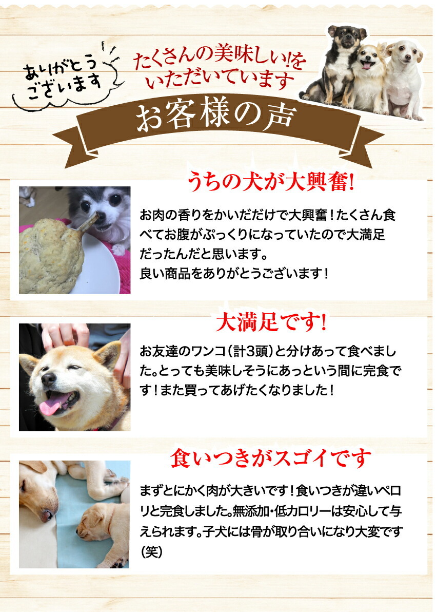 犬の無添加・手作りごはん