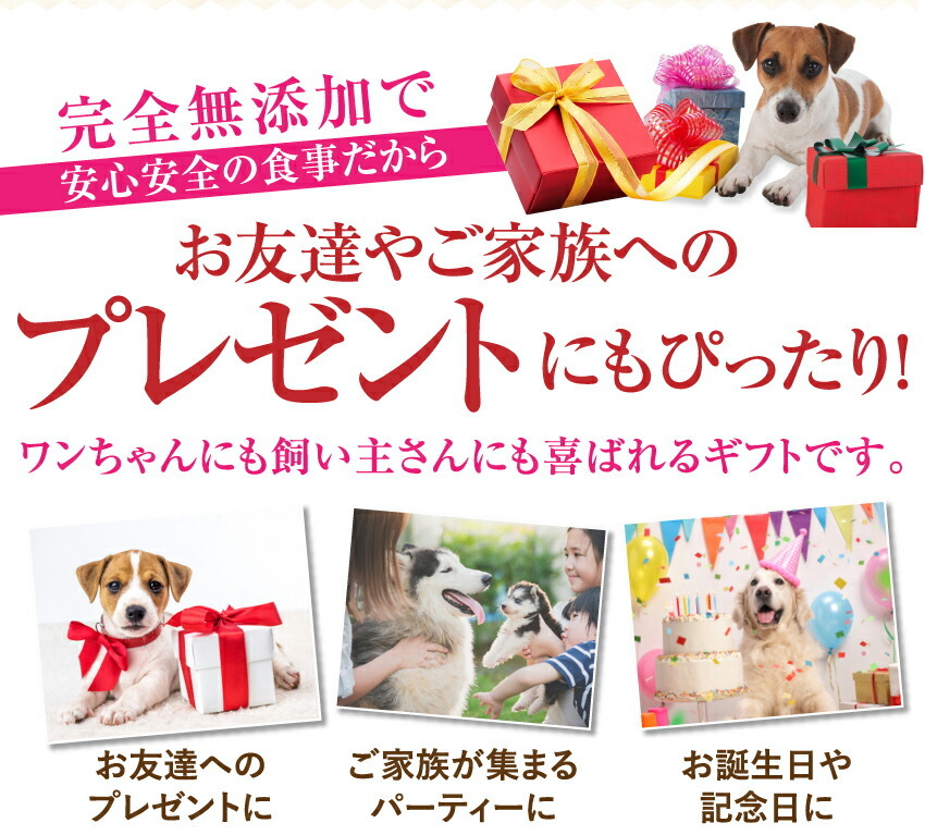 犬の無添加・手作りごはん