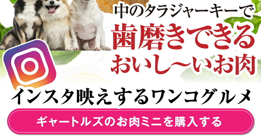 犬の無添加・手作りごはん
