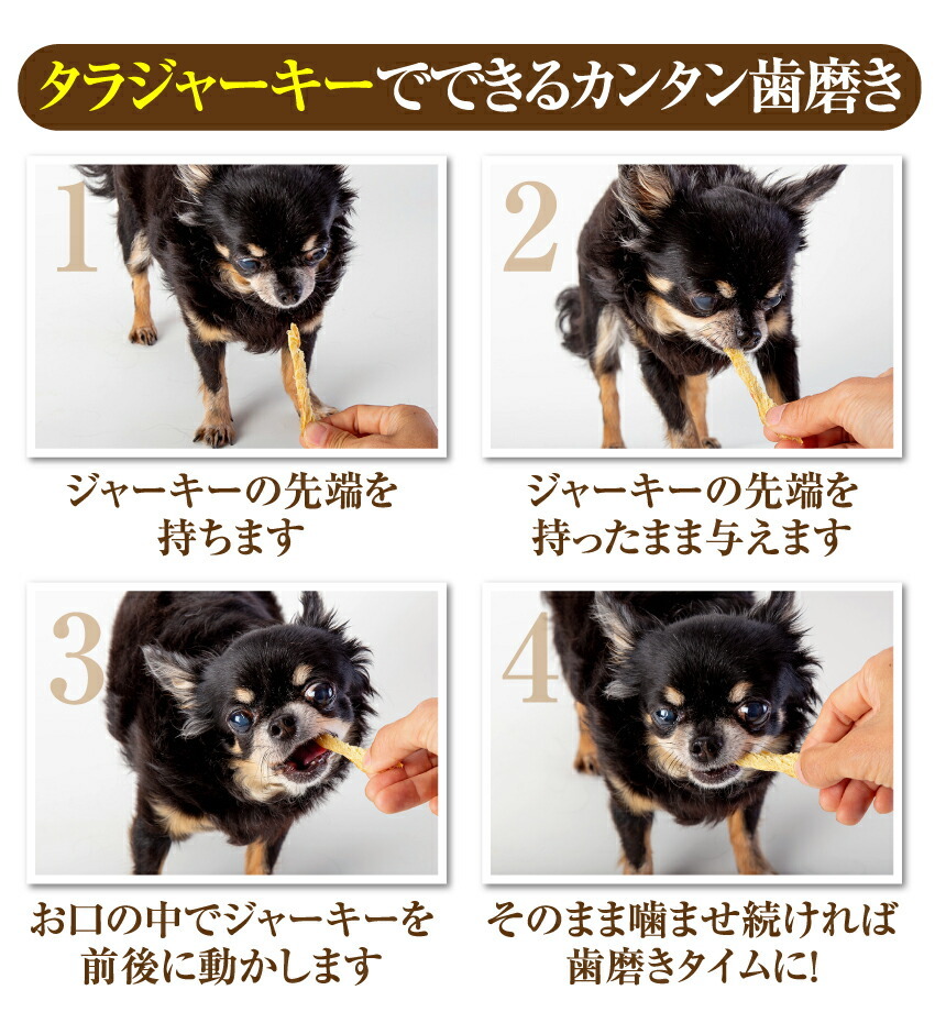犬の無添加・手作りごはん