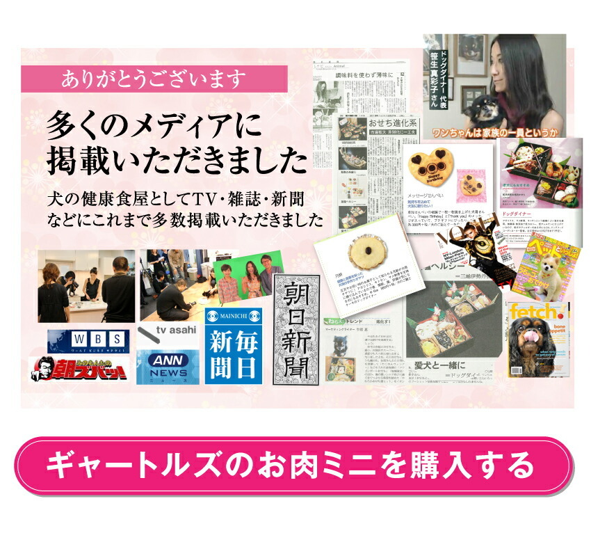 犬の無添加・手作りごはん