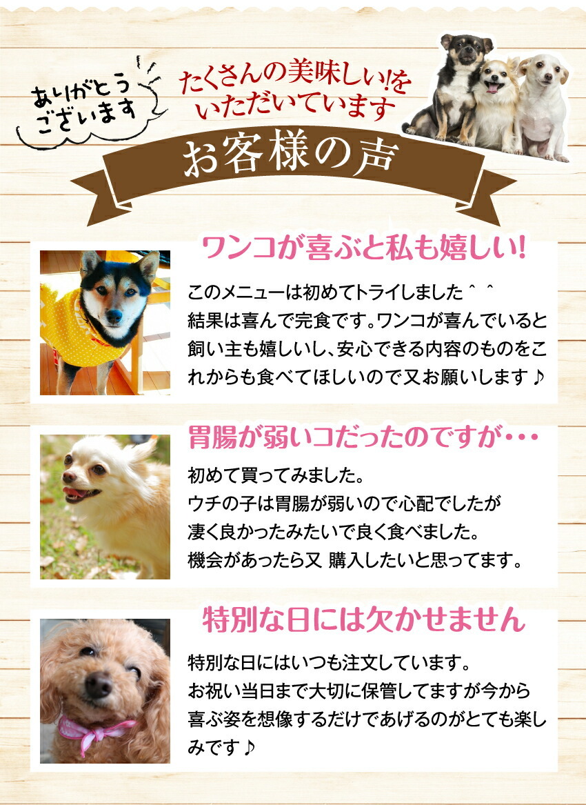 犬の手作りごはん