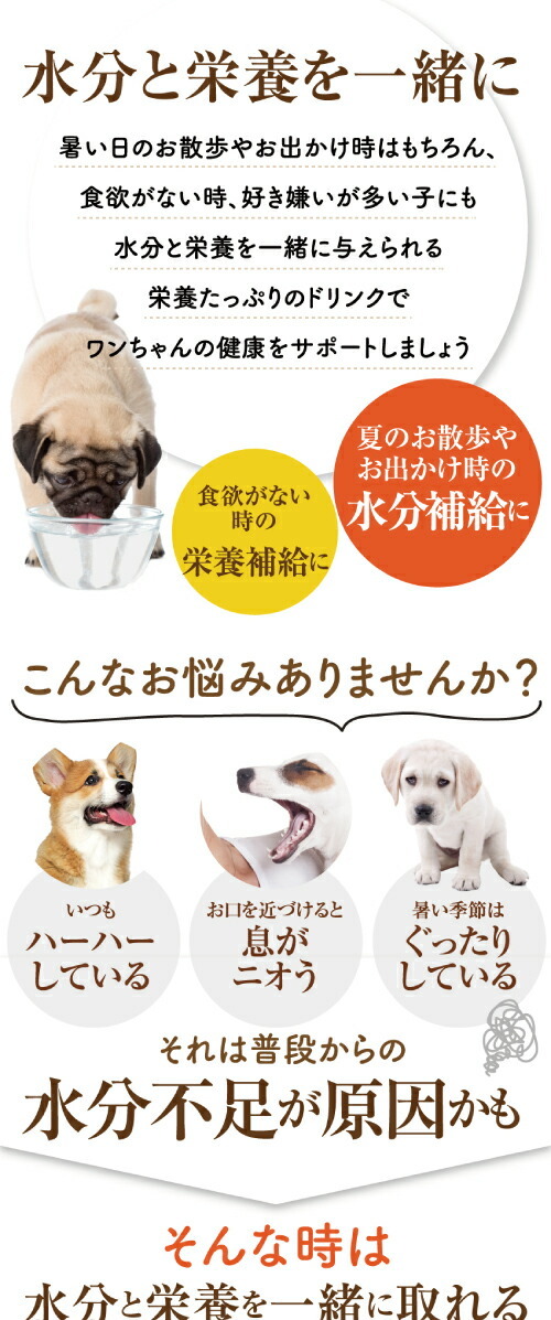 犬 ペット用 飲料 バテない君 1本 無添加 犬用 熱中症対策飲料 スープ クール便 犬のご飯とケーキのドッグダイナー 通販 Yahoo ショッピング