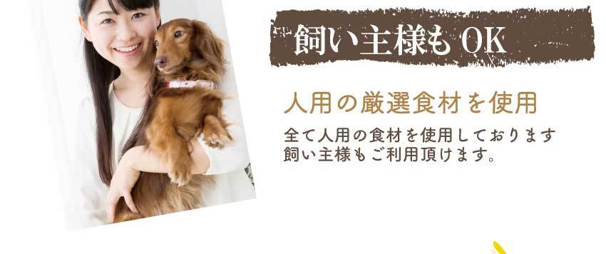 犬用 月見 団子(だんご) 犬の手作りごはん ご飯 十五夜 お月見