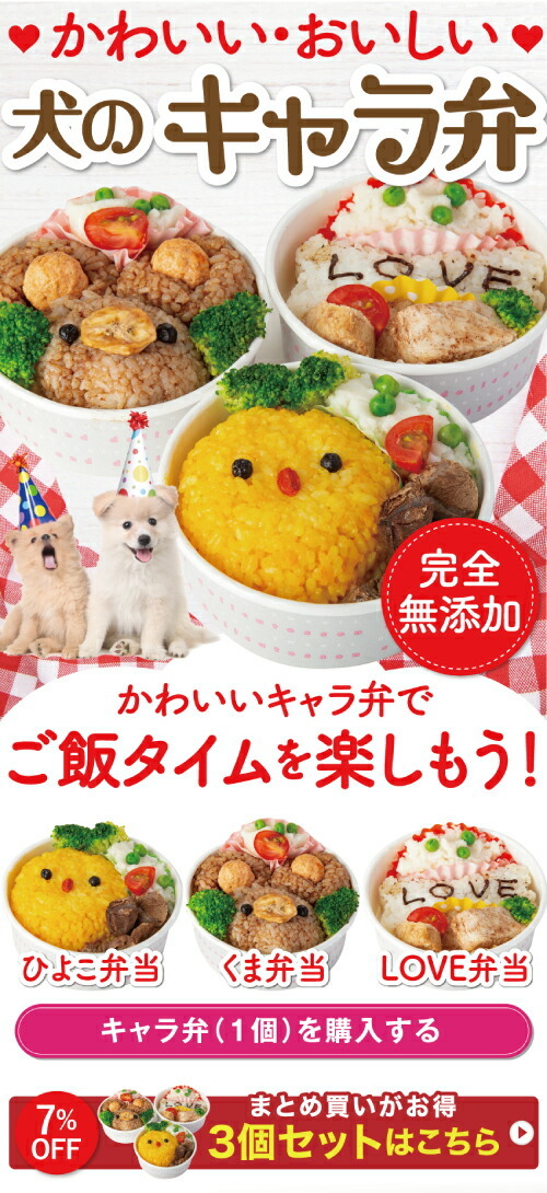 犬 手作りご飯 犬用 キャラ弁 無添加 国産 冷凍 Kyaraben 5 犬のご飯とケーキのドッグダイナー 通販 Yahoo ショッピング