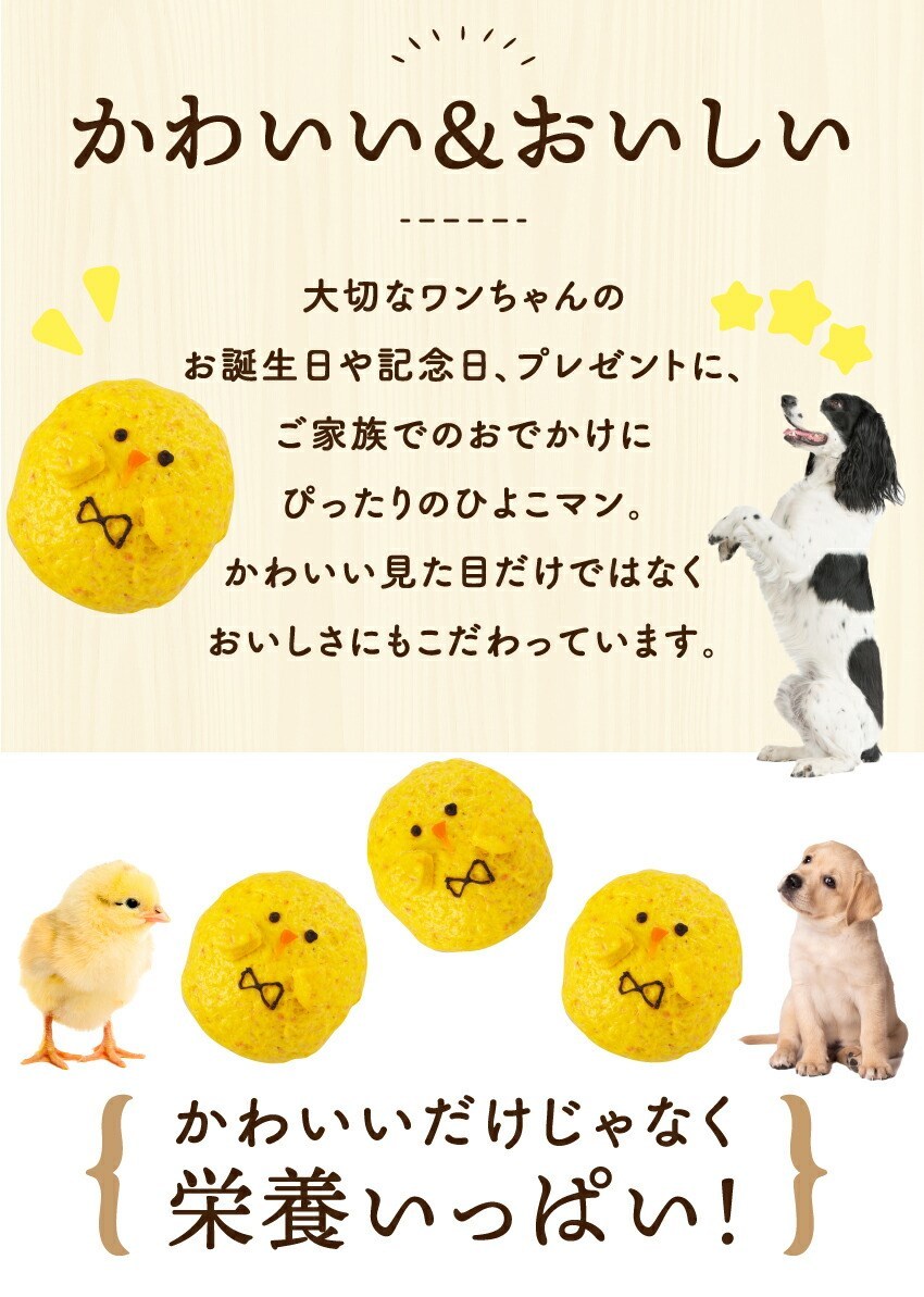 犬の無添加・手作りごはん・犬用ケーキ・誕生日ケーキ・ケーキ