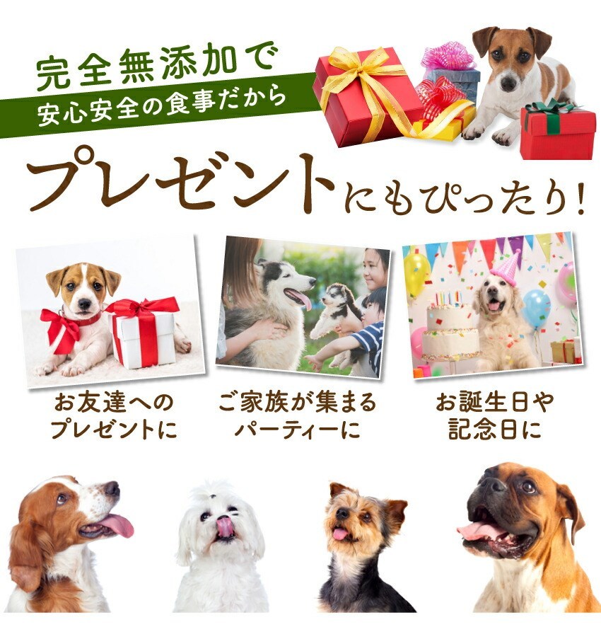 犬の無添加・手作りごはん・犬用ケーキ・誕生日ケーキ・ケーキ