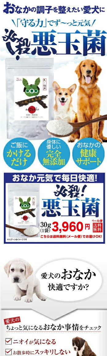 犬 ペット用 乳酸菌 腸 サプリ 必殺 悪玉菌 無添加 送料無料 Hissatu 犬のご飯とケーキのドッグダイナー 通販 Yahoo ショッピング