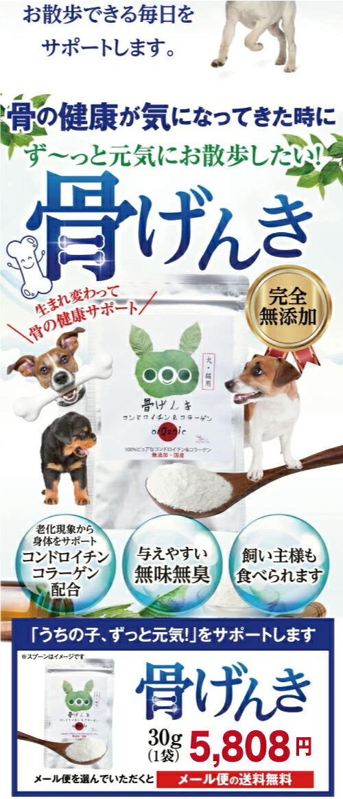 犬 猫用 関節 サプリメント(骨 げんき15g)無添加 粉末【メール便・送料無料】 :kondo15:犬のご飯とケーキのドッグダイナー - 通販 -  Yahoo!ショッピング