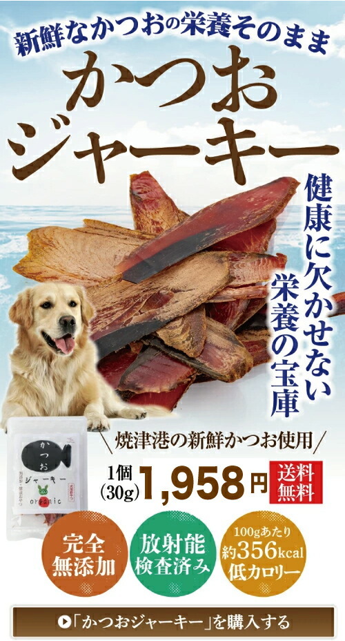 犬・ペット用 無添加 国産 魚 おやつ(鰹 ジャーキー)高齢犬・シニアに【通常便 送料無料】