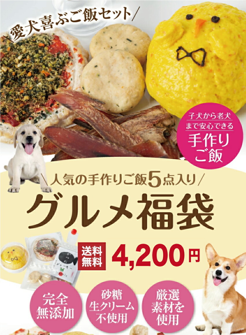 犬 手作りご飯 おやつ のセット(無添加・グルメ 福袋)【送料無料