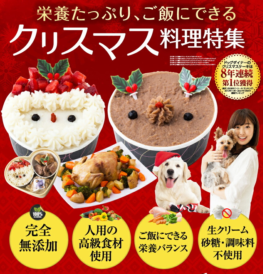 犬のご飯とケーキのドッグダイナー クリスマスケーキ Yahoo ショッピング