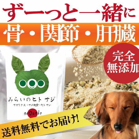 食べる歯磨き革命・犬の口臭・虫歯に