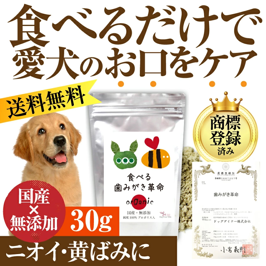 食べる歯磨き革命・犬の口臭・虫歯に