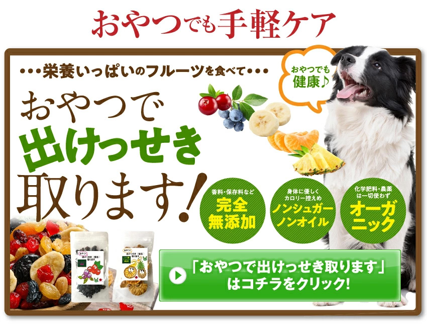 無添加・老化防止・免疫にみらいのヒトサジ