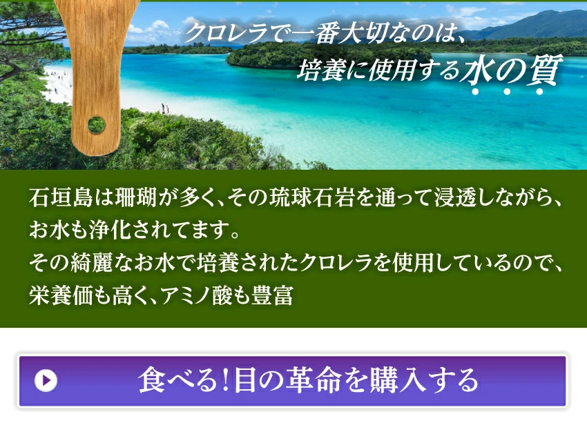 犬の白内障・目・視力に目薬革命 サプリメント