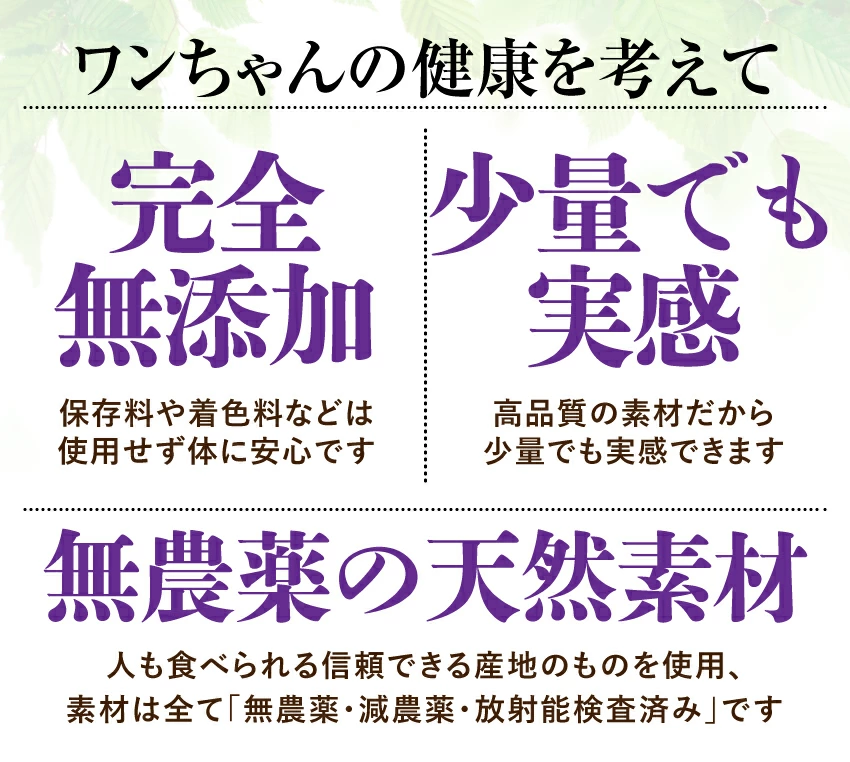 犬の白内障・目・視力に目薬革命 サプリメント