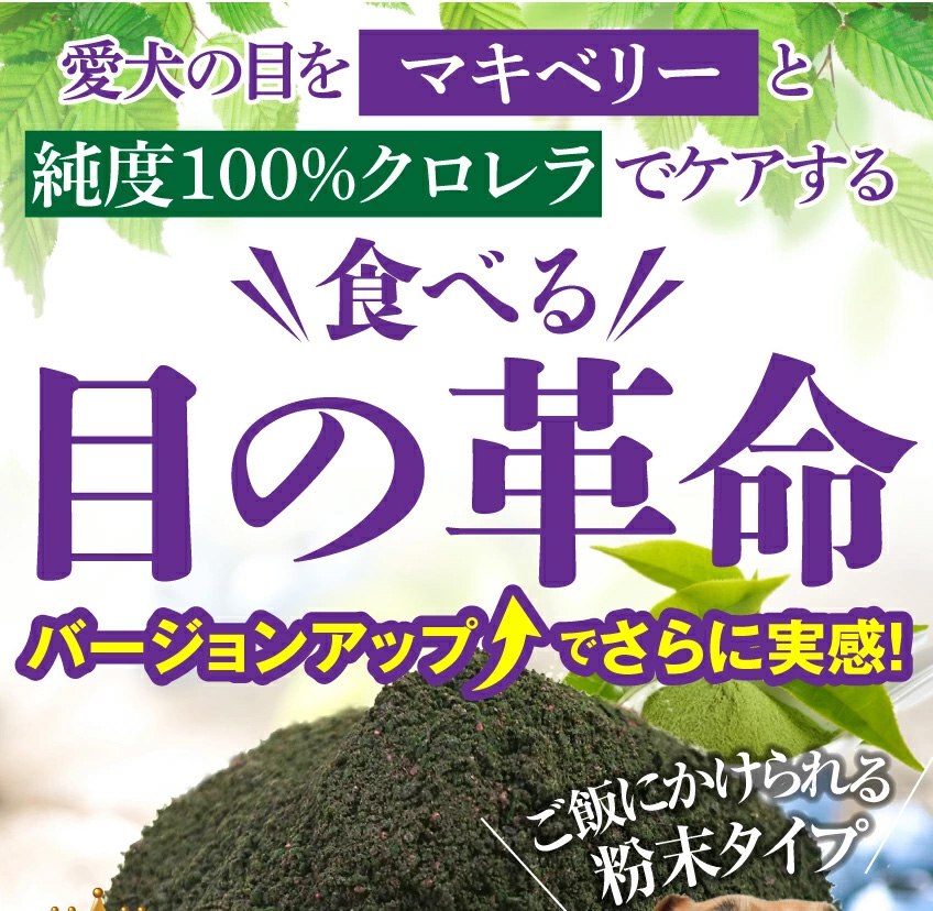 犬の白内障・目・視力に目薬革命 サプリメント