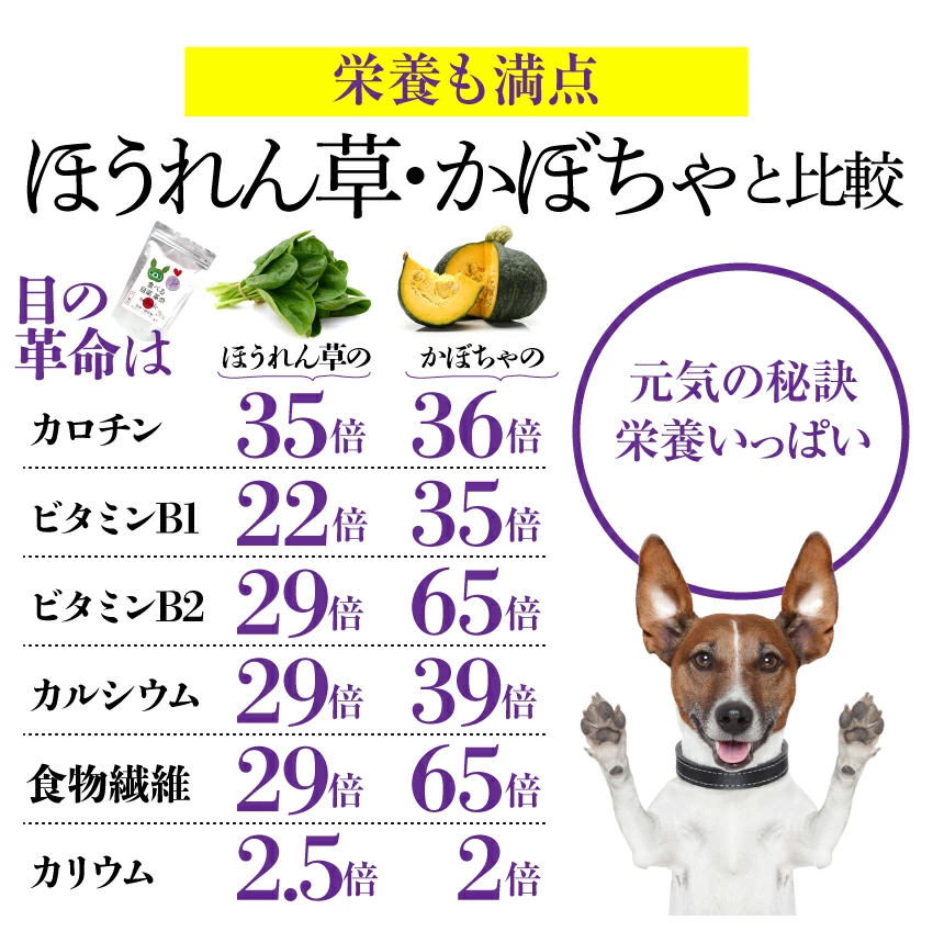 犬の白内障・目・視力に目薬革命 サプリメント