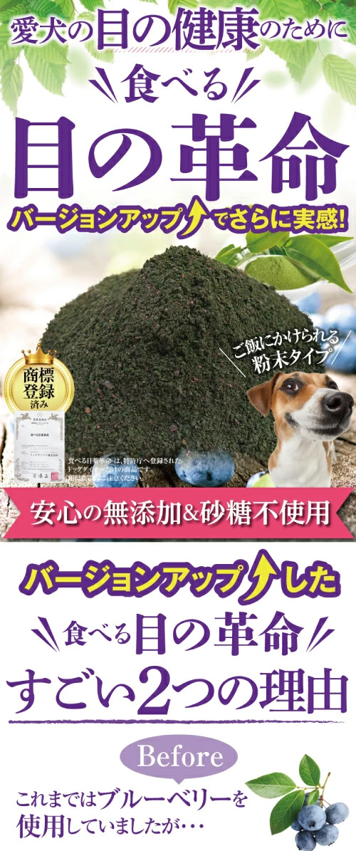 バージョンアップしました】犬 猫用 目のケア サプリ(食べる 目の 革命 30g)無添加 ブルーベリー 配合 粉末【メール便・送料無料】  :500024644sale:犬のご飯とケーキのドッグダイナー - 通販 - Yahoo!ショッピング