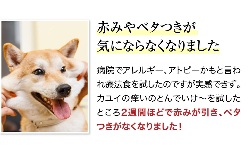 犬・猫のアレルギー／皮膚炎・皮膚・に無添加サプリメント　カユイの痒いの飛んで行け