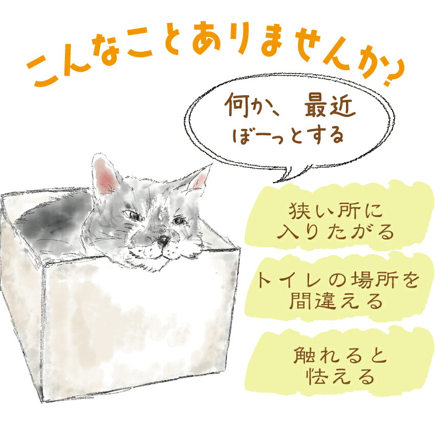 犬 猫 ペット用 脳 記憶の健康に 銀杏葉 イチョウ葉 サプリ 20g 無添加 国産 有機 銀杏の葉 サプリメント | ドッグダイナー | 02