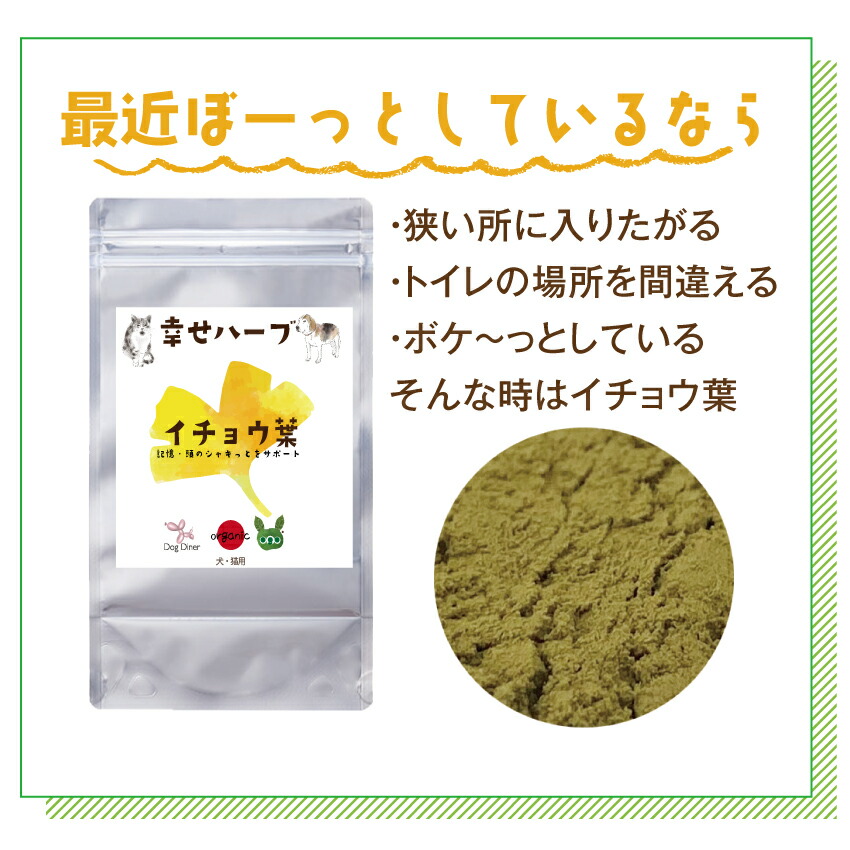犬 猫 ペット用 脳 記憶の健康に 銀杏葉 イチョウ葉 サプリ 20g 無添加 国産 有機 銀杏の葉 サプリメント | ドッグダイナー | 04