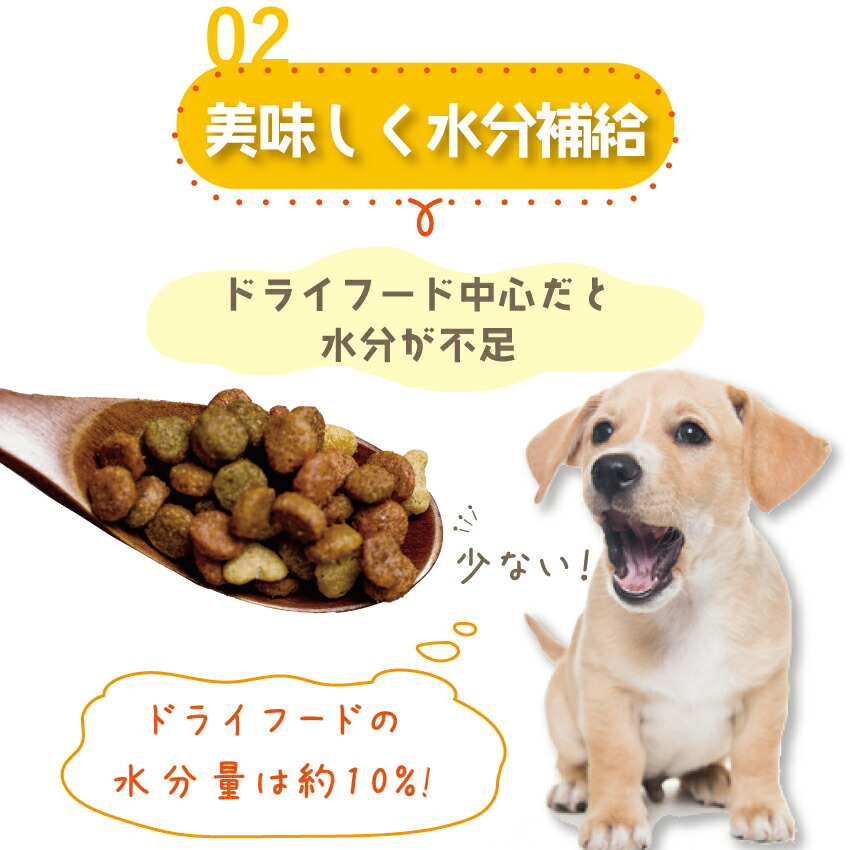 ドッグダイナー 犬 猫用 粉末 スープ カルシウム補給 骨 関節の