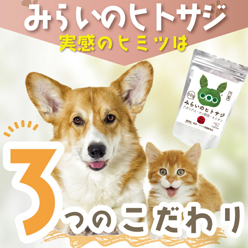 犬 猫用 サプリメント 高齢犬 老犬 老猫 シニア用 無添加 サプリ みらいのヒトサジ 50g 有機 原材料 アガリクス サメ軟骨 キトサン 老化 筋力 体力 内臓ケア | ドッグダイナー | 10