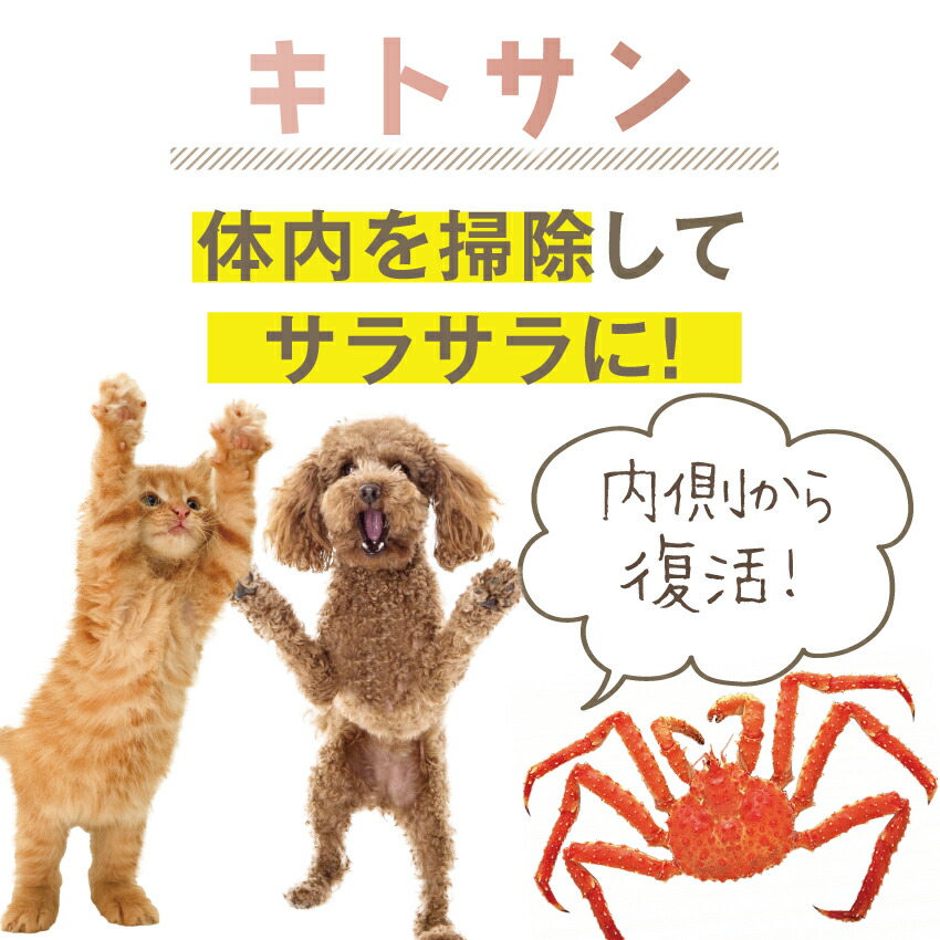 犬 猫用 サプリメント 高齢犬 老犬 老猫 シニア用 無添加 サプリ みらいのヒトサジ 50g 有機 原材料 アガリクス サメ軟骨 キトサン 老化 筋力 体力 内臓ケア | ドッグダイナー | 12