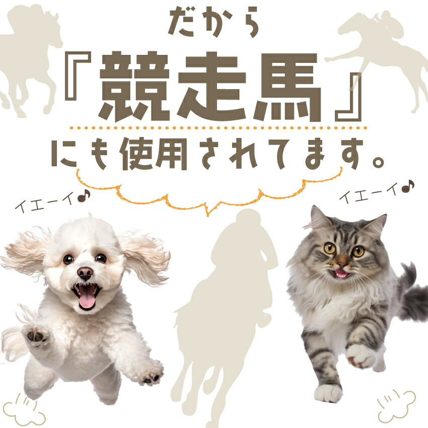 犬 猫用 サプリメント 高齢犬 老犬 老猫 シニア用 無添加 サプリ みらいのヒトサジ 50g 有機 原材料 アガリクス サメ軟骨 キトサン 老化 筋力 体力 内臓ケア | ドッグダイナー | 15