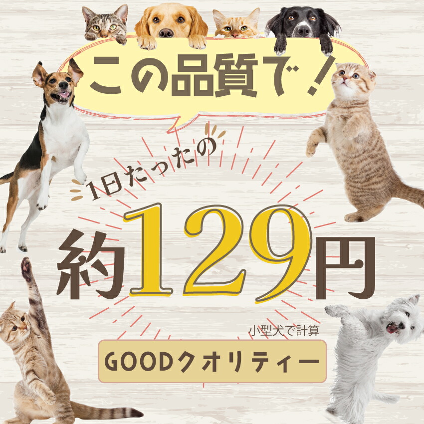 犬 猫用 サプリメント 高齢犬 老犬 老猫 シニア用 無添加 サプリ みらいのヒトサジ 50g 有機 原材料 アガリクス サメ軟骨 キトサン 老化 筋力 体力 内臓ケア | ドッグダイナー | 17