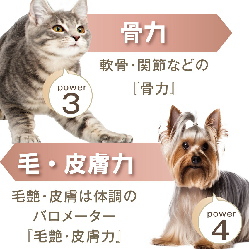 犬 猫用 老化・筋力・体力 サプリメント(みらいのヒトサジ)無添加 高齢犬・シニア