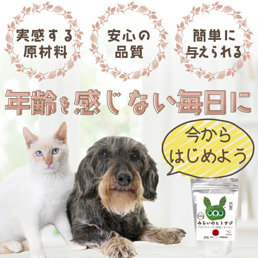 犬 猫用 サプリメント 高齢犬 老犬 老猫 シニア用 無添加 サプリ みらいのヒトサジ 50g 有機 原材料 アガリクス サメ軟骨 キトサン 老化 筋力 体力 内臓ケア | ドッグダイナー | 19