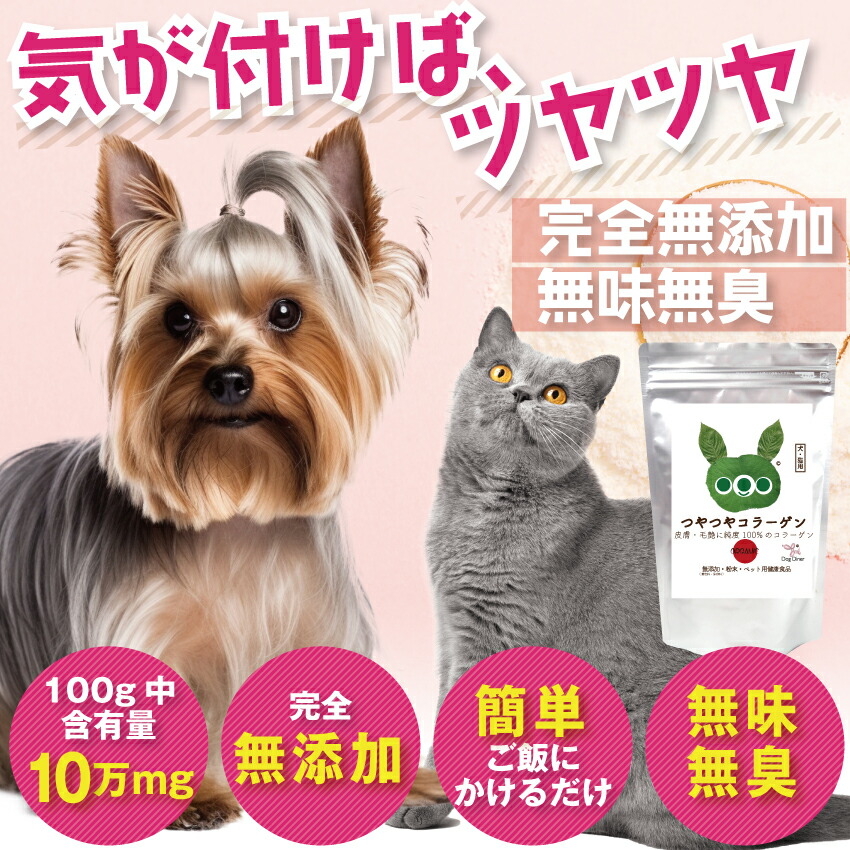 犬 毛や皮膚のケア サプリ(つやつや コラーゲン 45g)100000mg コラーゲンパウダー 無添加 エイジングケア 高純度 低分子 コラーゲン ペプチド 犬用・猫・ペット｜dogdiner｜02