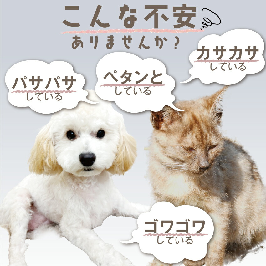 犬 猫 毛艶 毛並み 皮膚に 無添加 コラーゲン 高純度 低分子 ペプチド 粉末 サプリ つやつやコラーゲン 45g サプリメント : kora75  : 犬のご飯とケーキのドッグダイナー - 通販 - Yahoo!ショッピング