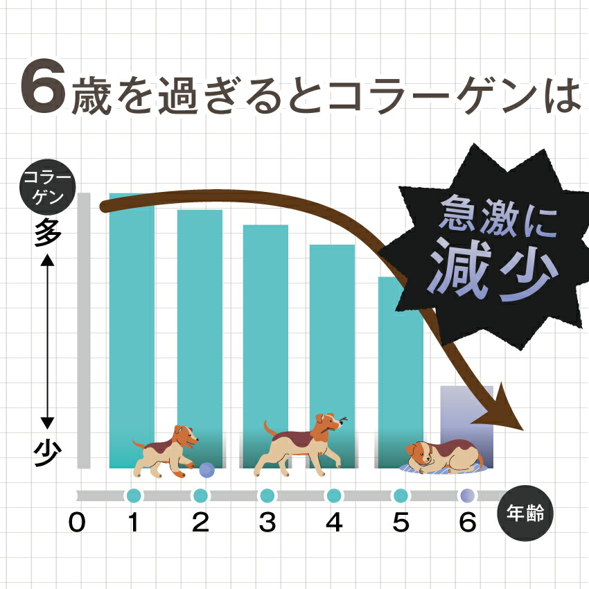 犬 毛や皮膚のケア サプリ(つやつや コラーゲン 45g)100000mg コラーゲンパウダー 無添加 エイジングケア 高純度 低分子 コラーゲン ペプチド 犬用・猫・ペット｜dogdiner｜05