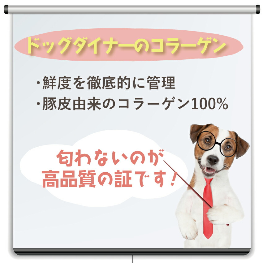 DENTAL POWDER 30包 ×2袋　猫と犬用 AIM30 室内成猫用 チキン サンライズ 成猫用ドライフード 1.2kg
