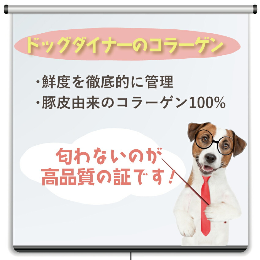 犬 毛や皮膚のケア サプリ(つやつや コラーゲン 45g)100000mg コラーゲンパウダー 無添加 エイジングケア 高純度 低分子 コラーゲン ペプチド 犬用・猫・ペット｜dogdiner｜15