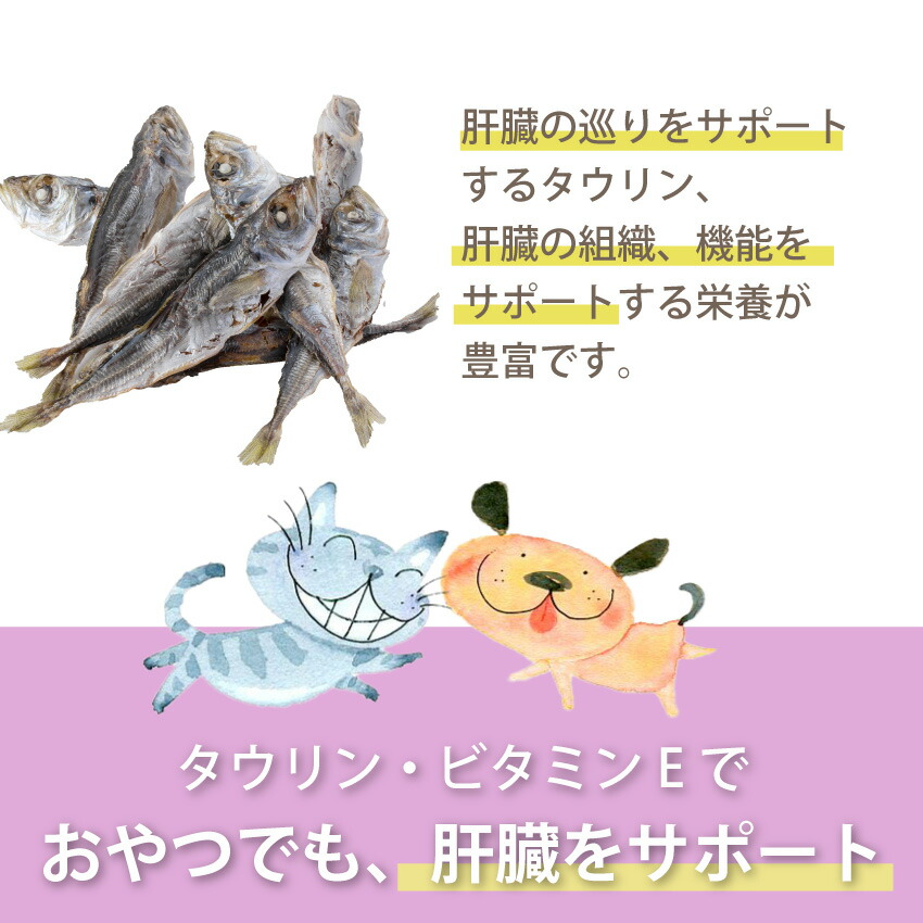 ドッグダイナー 犬 猫用 目 視力 肝臓 脳に 無添加 おやつ 鯵