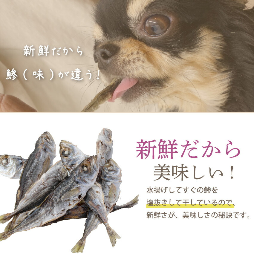 ドッグダイナー 犬 猫用 目 視力 肝臓 脳に 無添加 おやつ 鯵
