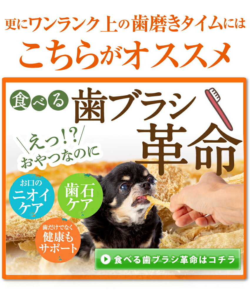 犬・猫・ペットの口臭・息が臭い、歯磨き・歯石に無添加のおやつ 歯磨きジャーキー 魚のおやつ・歯周病