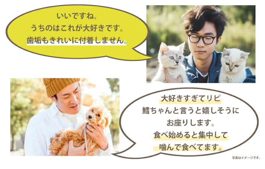 犬・猫・ペットの口臭・息が臭い、歯磨き・歯石に無添加のおやつ 歯磨きジャーキー 魚のおやつ・歯周病